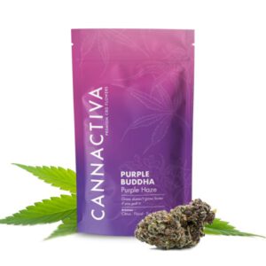 PURPLE BUDDHA (Purple Haze) - Cannactiva