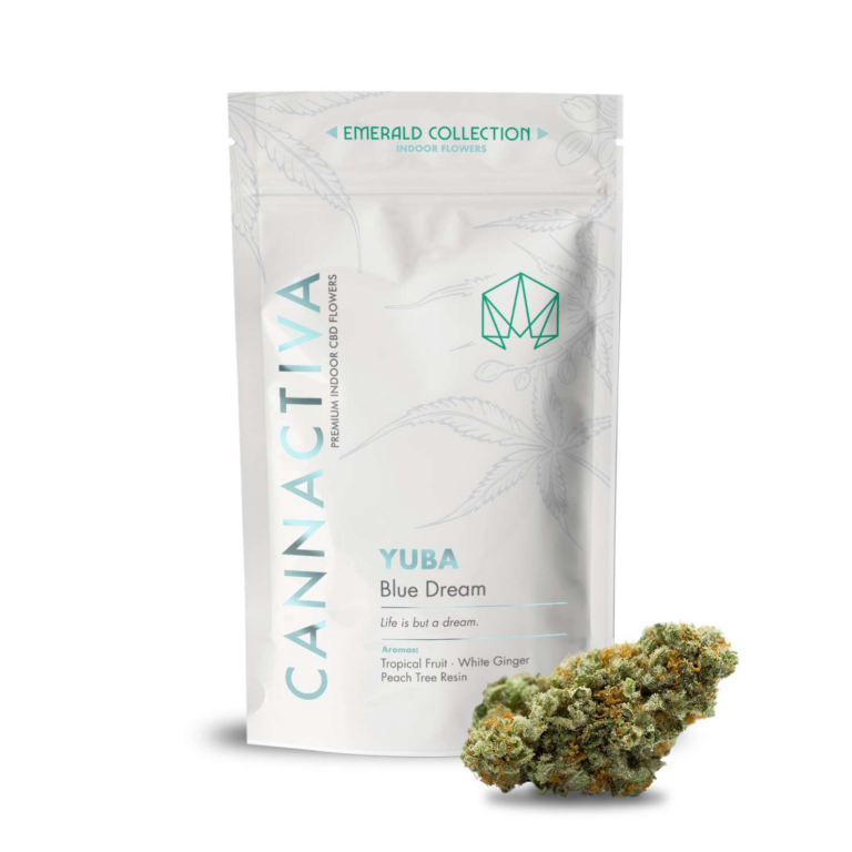 YUBA (Blue Dream) - Cannactiva